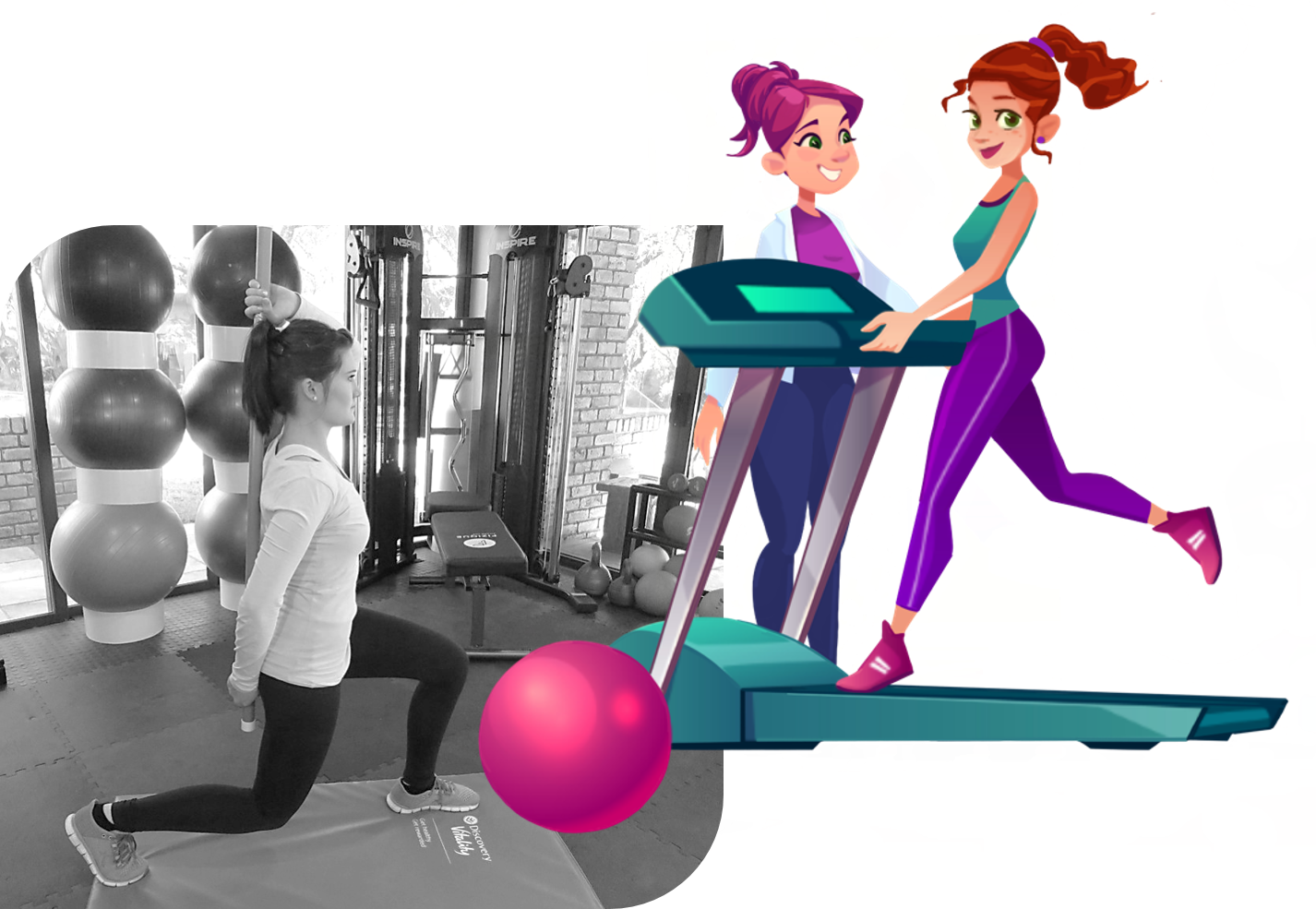 bio4u-vitality-fitness-assessment